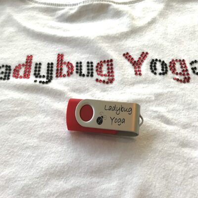 Ladybug Yoga What's in the Box Game – Ladybug Yoga